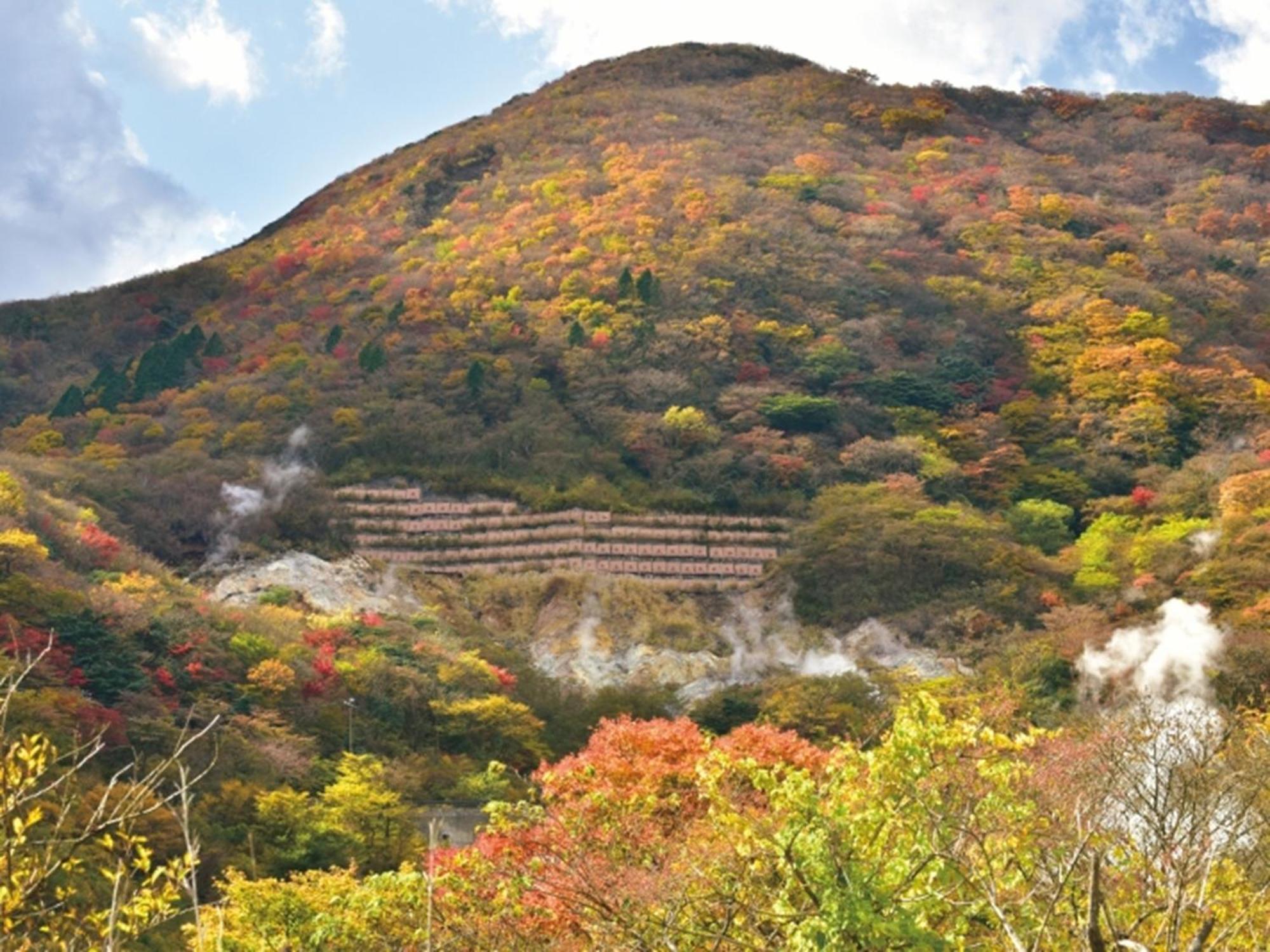 ฮาโกเน่ ยุโนะฮานะ ปริ้นซ์ โฮเต็ล Hotel Kanagawa ภายนอก รูปภาพ
